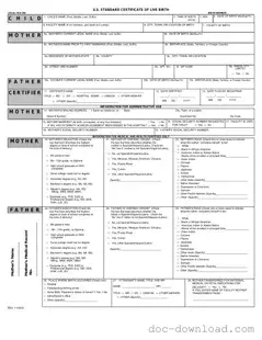 Fill Out Your CDC U.S. Standard Certificate of Live Birth Template