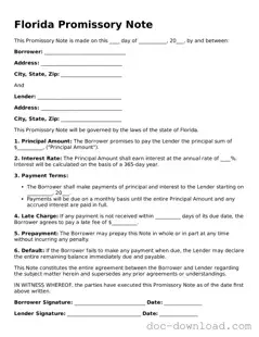 Blank  Promissory Note Document for Florida