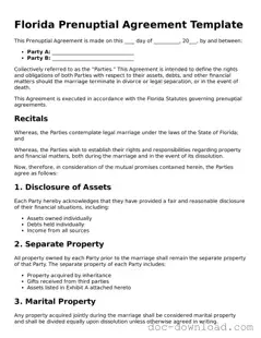 Blank  Prenuptial Agreement Document for Florida