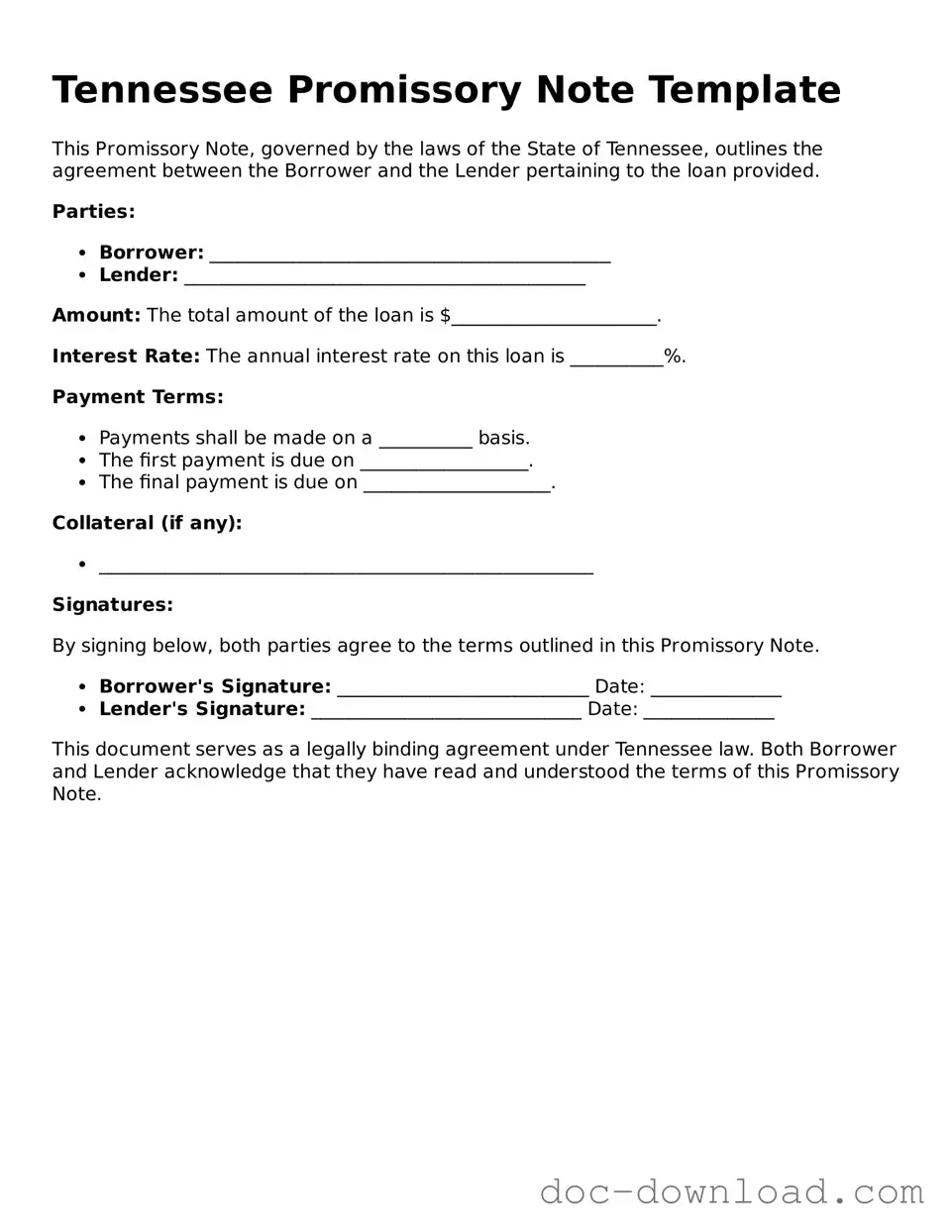 Blank  Promissory Note Document for Tennessee