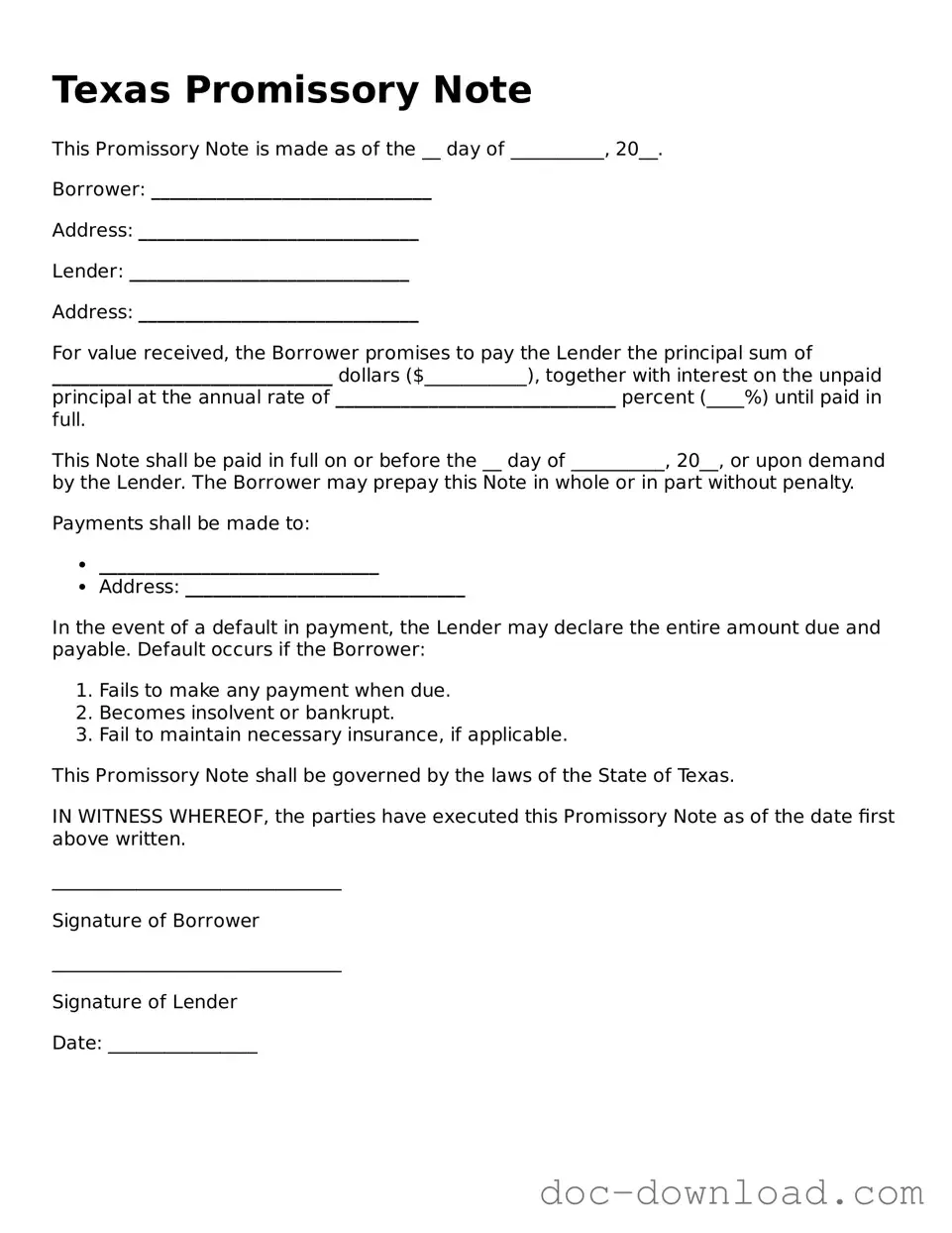Blank  Promissory Note Document for Texas